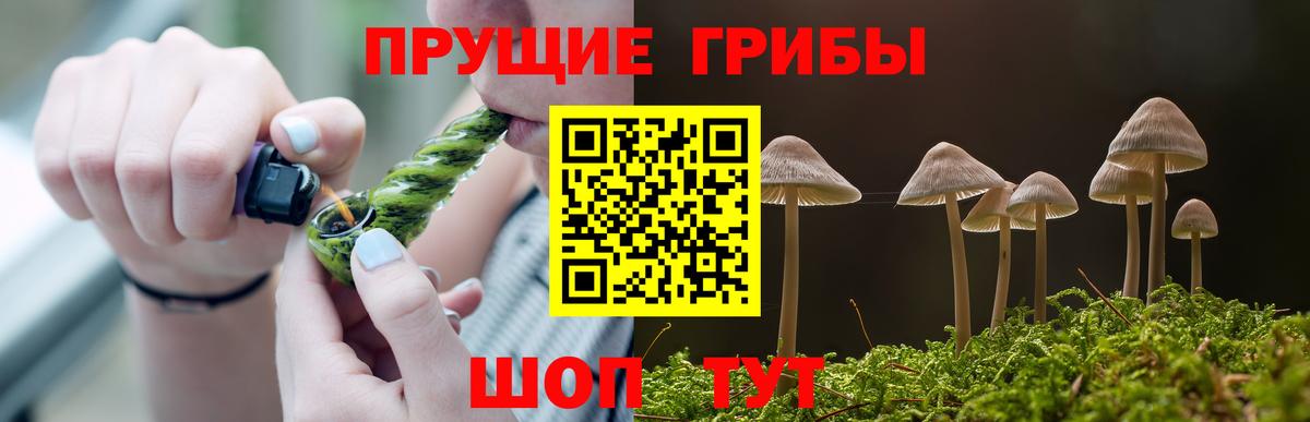 Электросталь  Галлюциногенные грибы MAGIC MUSHROOMS  Вход с VPN 